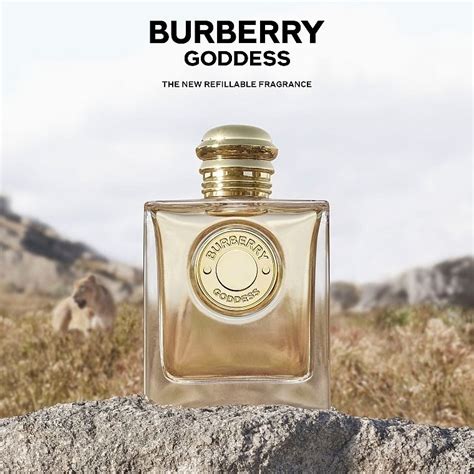 burberry goddess perfume fragrantica|which burberry perfume smells best.